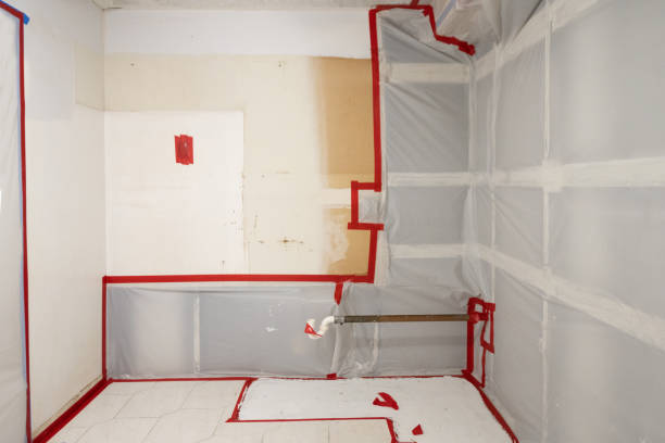 Biohazard Mold Removal in Coleytown, CT