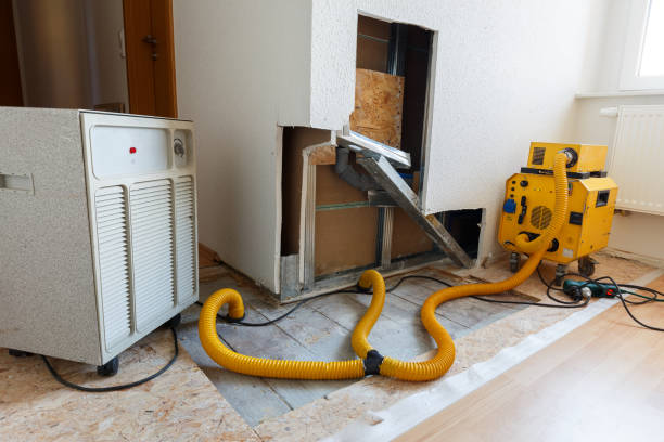 Best Mold Damage Restoration  in Coleytown, CT