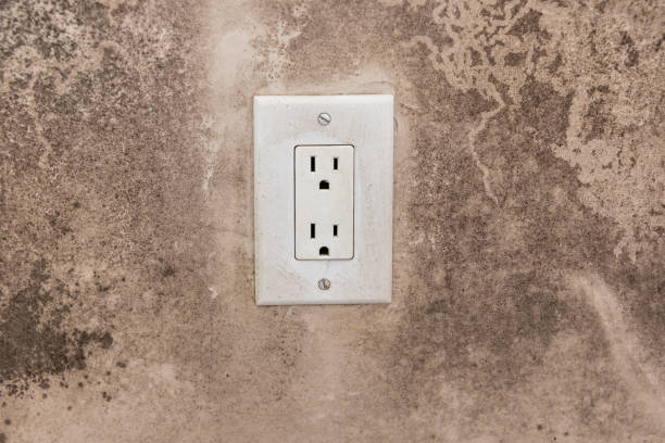 Best Attic Mold Removal  in Coleytown, CT
